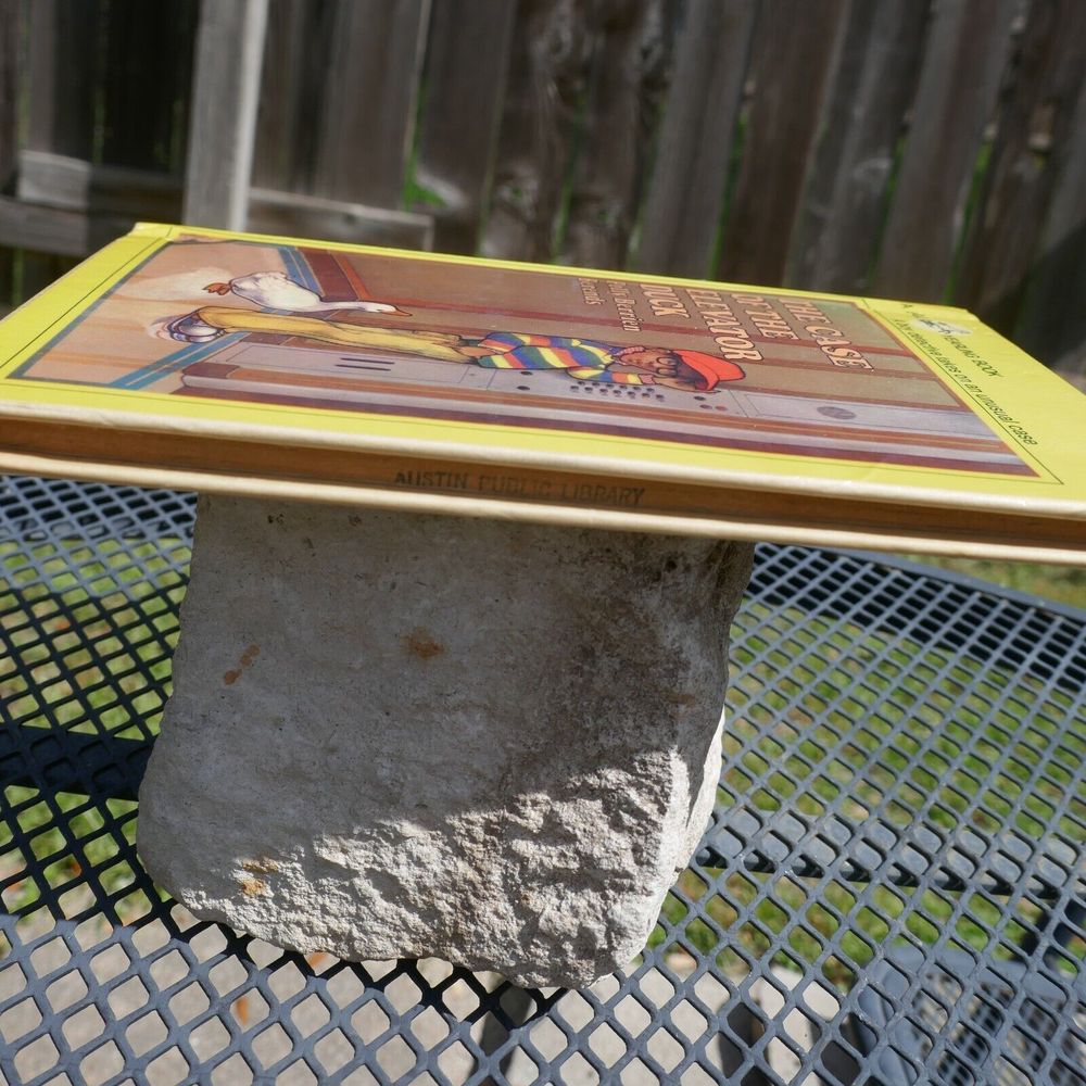 Vintage Childrens Book Case Elevator Duck Boy Detective Dell Yearling 70s - Picture 4 of 12